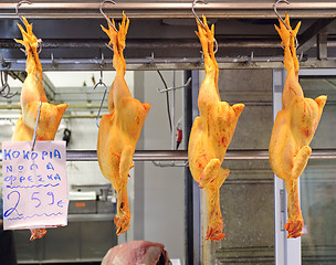 Image showing Hanging Poultry