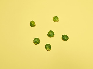 Image showing The piles of Brussels sprouts on a yellow background