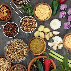 Image showing Herbs and Spices for Cooking