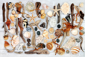 Image showing Natural Treasure from the Sea