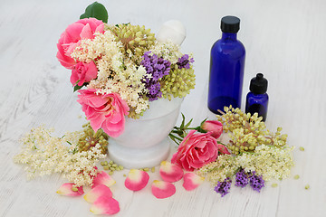 Image showing Medicinal Flowers and Herbs