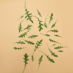 Image showing Arugula leaves on beige