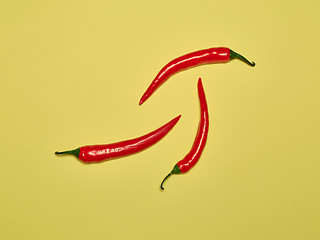 Image showing bitter chili pepper and paprika on a yellow background