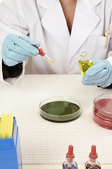 Image showing Laboratory testing