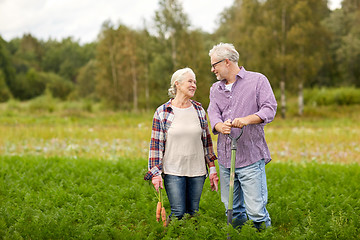 Image showing senior couple with shovel picking carrots on farm