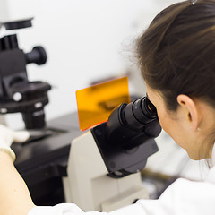 Image showing Life science researcher microscoping in genetic scientific laboratory.