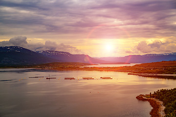 Image showing Farm salmon fishing