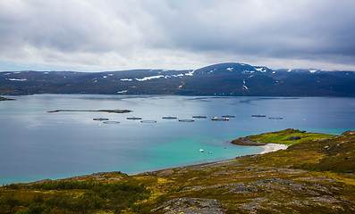 Image showing Farm salmon fishing