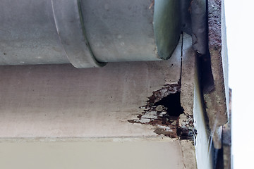 Image showing Rotten wood on top of house