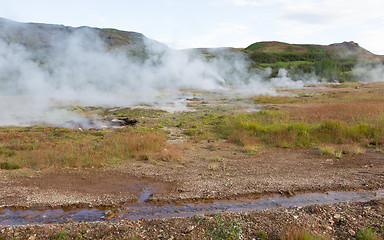 Image showing Geothermally active valley of Haukadalur