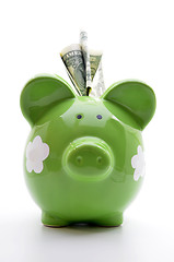 Image showing Green piggy bank with US dollar bills