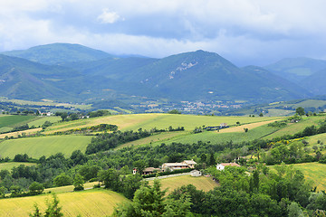 Image showing Typical landscape in Marche