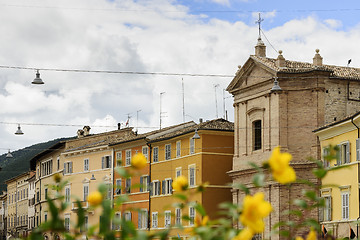 Image showing Flower with houses in background