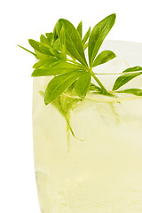 Image showing Wine with herbs