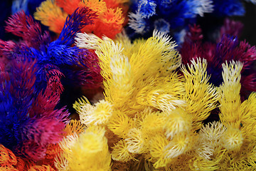 Image showing plastic color corals