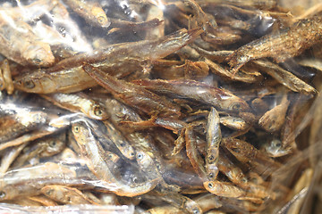 Image showing small dried fishes