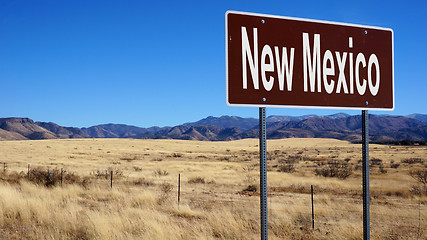 Image showing New Mexico brown road sign