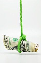 Image showing Dangling US dollar