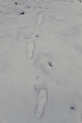 Image showing Footprints in the snow