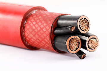 Image showing High voltage cable