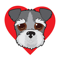 Image showing Schnauzer Face