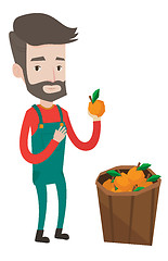 Image showing Farmer collecting oranges vector illustration.