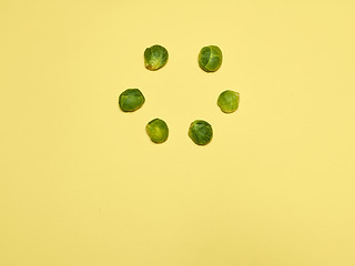 Image showing The piles of Brussels sprouts on a yellow background