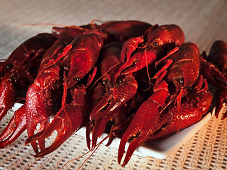 Image showing crawfishes