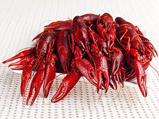 Image showing crawfishes