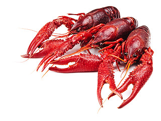 Image showing crawfishes