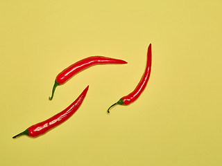 Image showing bitter chili pepper and paprika on a yellow background