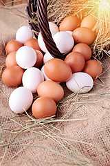 Image showing fresh eggs