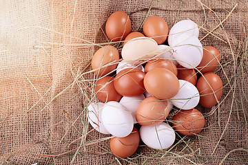 Image showing fresh eggs