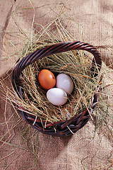 Image showing fresh eggs