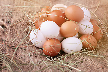 Image showing fresh eggs