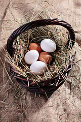 Image showing fresh eggs