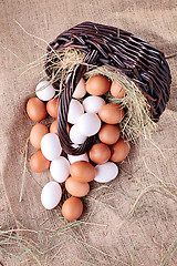 Image showing fresh eggs