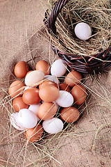 Image showing fresh eggs