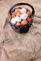 Image showing fresh eggs