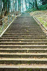 Image showing Hirschpark, Hamburg, Germany