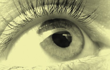 Image showing eye macro