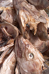 Image showing Codfish heads drying in the sun, Lofoten Islands, Norway