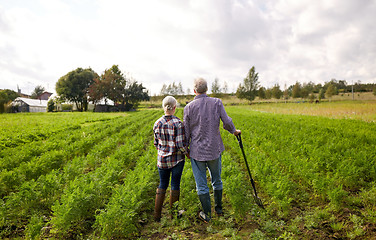 Image showing happy senior couple at summer farm