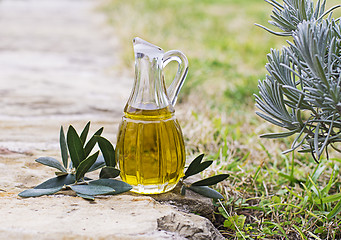 Image showing Olive oil