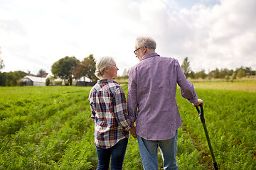 Image showing happy senior couple at summer farm