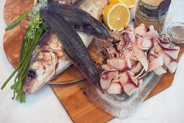 Image showing Sliced frozen raw fish from whitefish