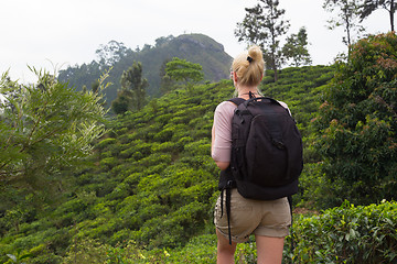 Image showing Female tourist enjoying beautiful nature of tea plantations, Sri Lanka.