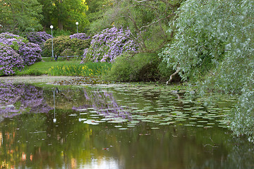 Image showing Late spring at the pond of the university campus, Göteborg, Sweden