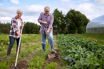 Image showing senior couple with shovels at garden or farm