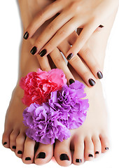 Image showing manicure pedicure with flower close up isolated on white perfect shape hands spa salon, modern dark mani pedi